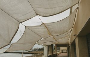 Canopy Sail